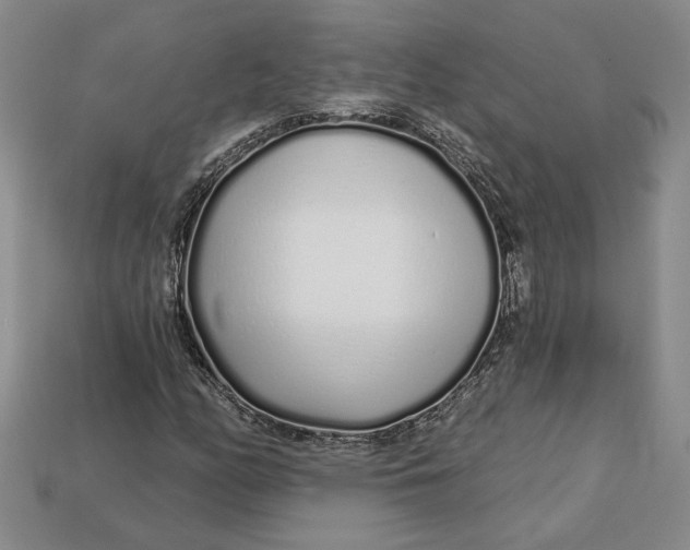 X0000112721158200909101441