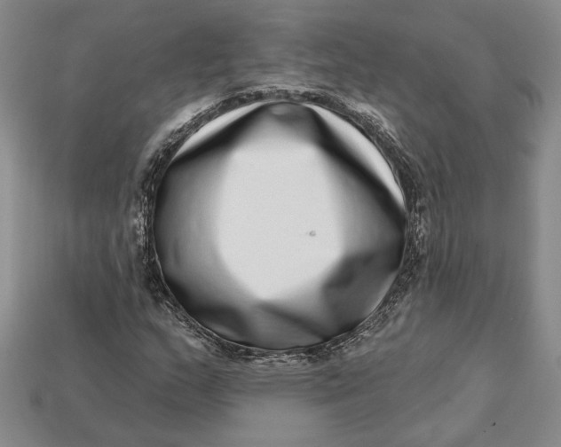 X0000112721159200909101441