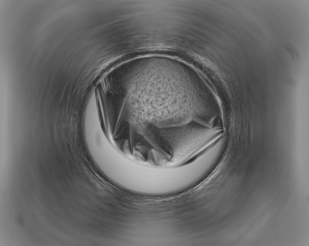 X0000112721161200909101441