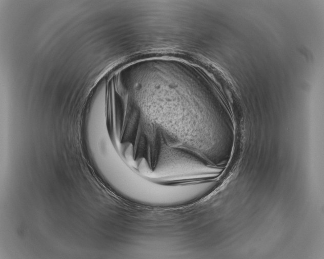 X0000112721162200909101441