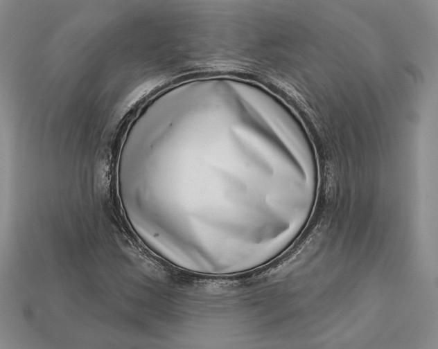 X0000112721163200909101440