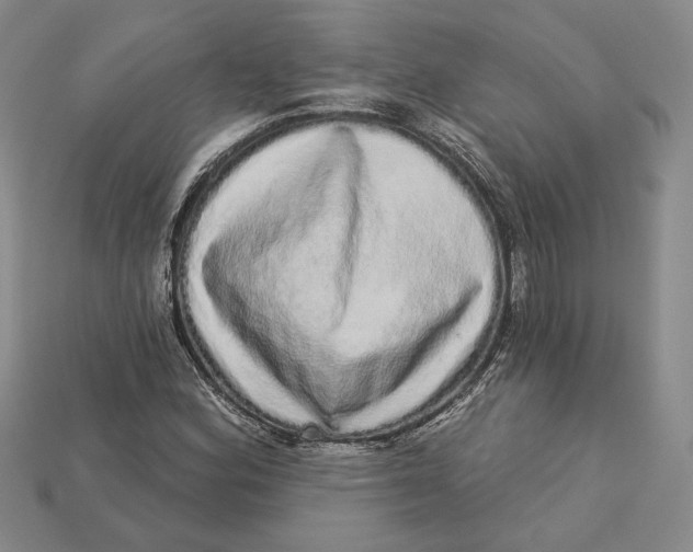 X0000112721164200909101440