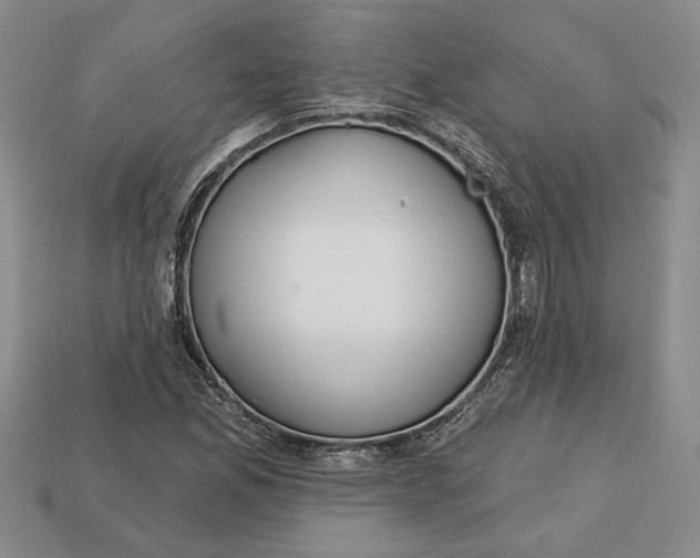 X0000112721165200909101440