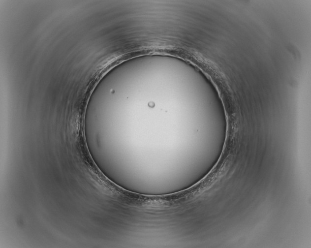 X0000112721169200909101440