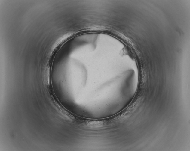 X0000112721171200909101440