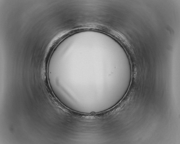 X0000112721172200909101440