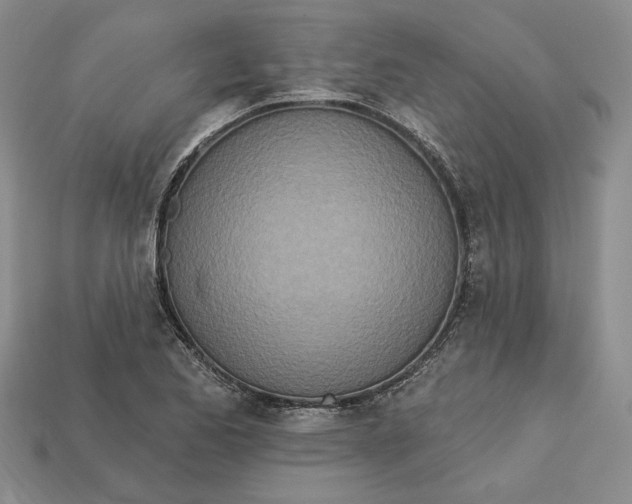 X0000112721173200909101440