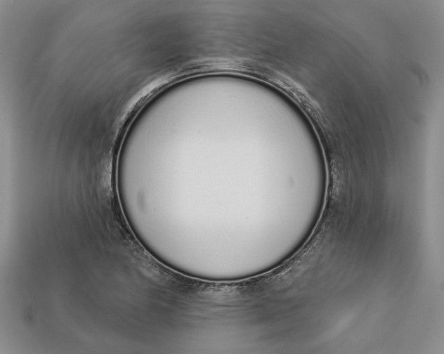 X0000112721174200909101440