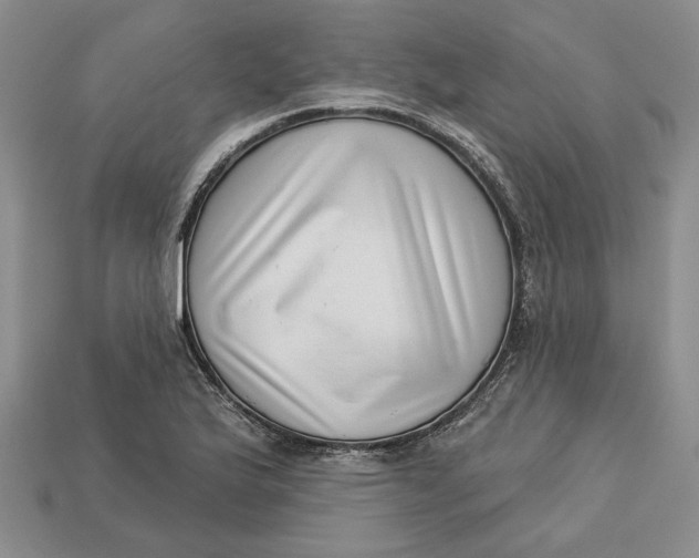 X0000112721175200909101440