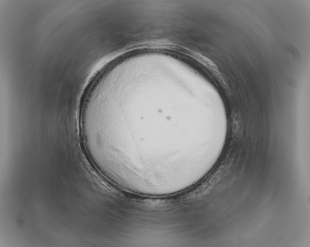 X0000112721176200909101440