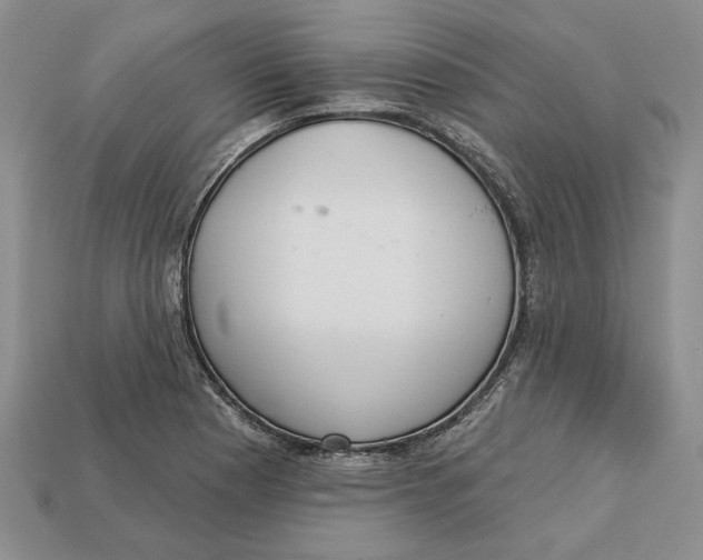 X0000112721177200909101440