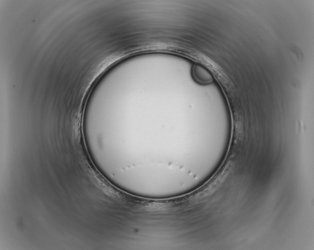 X0000112721178200909101440