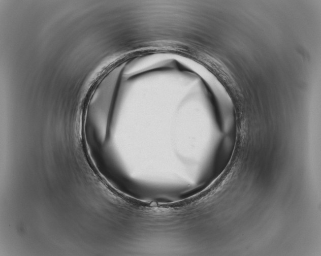 X0000112721180200909101440