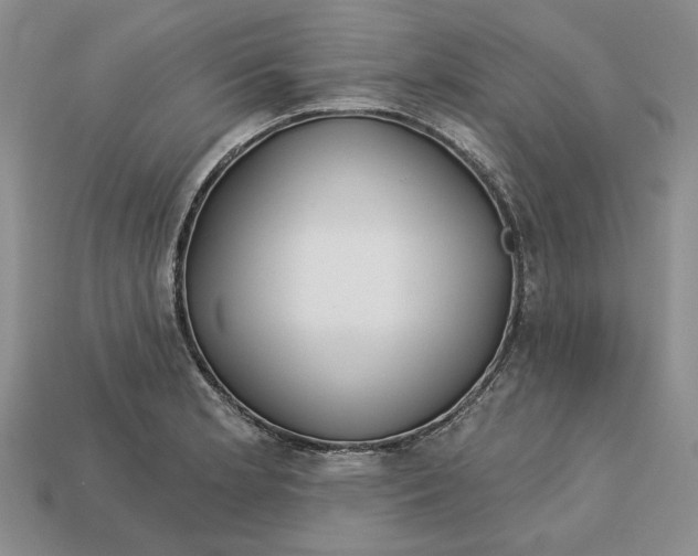 X0000112721181200909101440