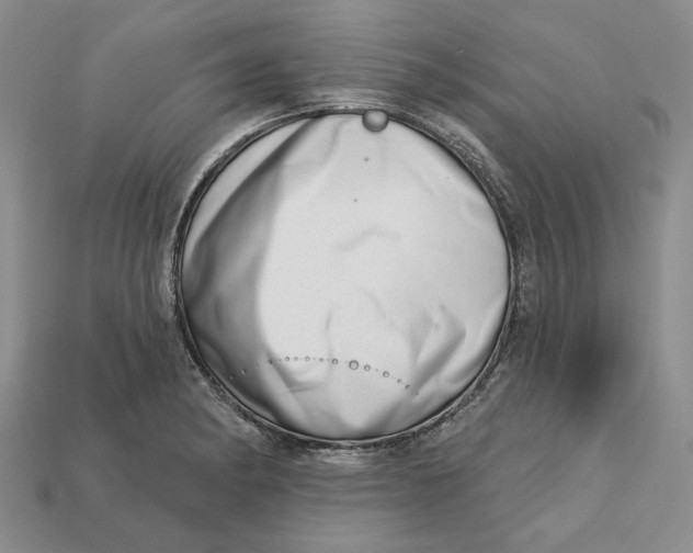 X0000112721182200909101440