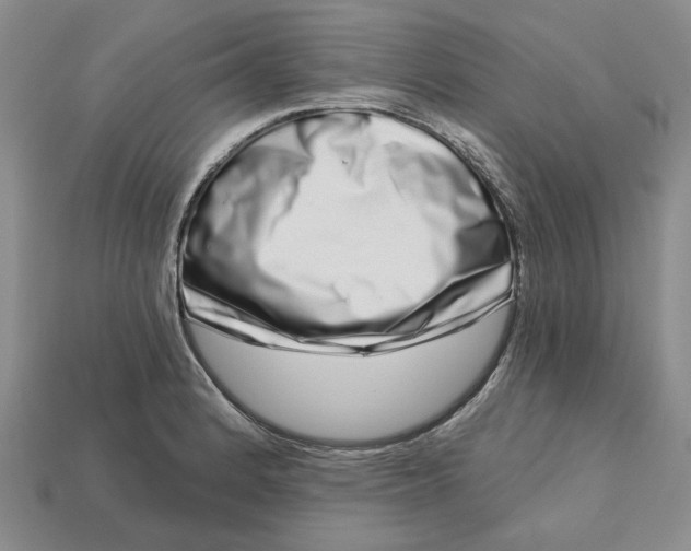 X0000112721184200909101440