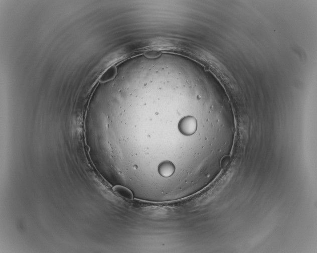 X0000112721185200909101440