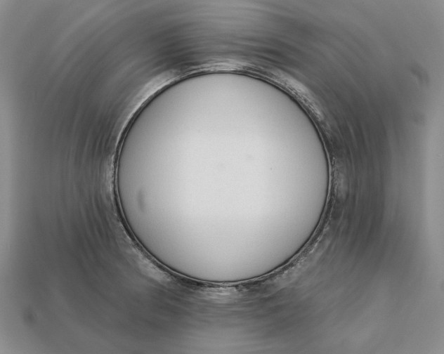 X0000112721186200909101440