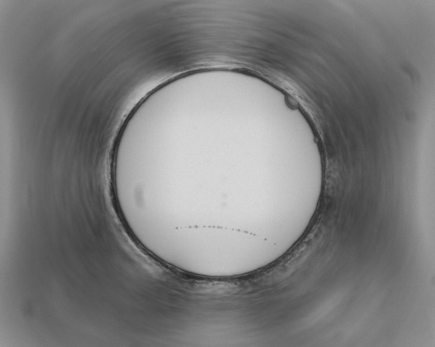 X0000112721187200909101440