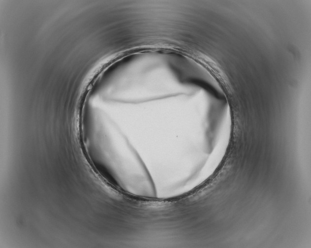 X0000112721188200909101440