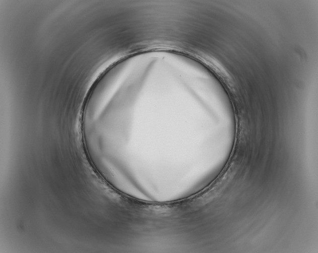 X0000112721190200909101440