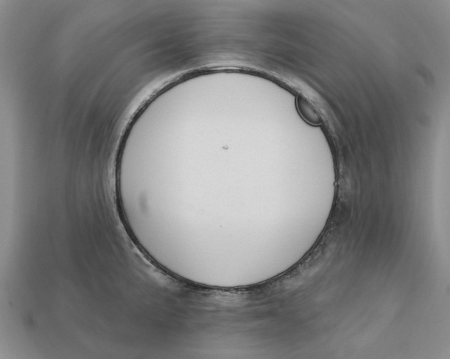 X0000112721191200909101440