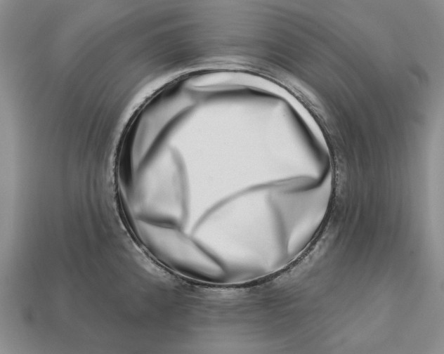 X0000112721192200909101440