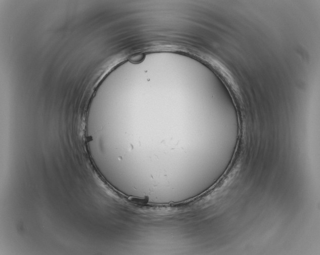 X0000112721193200909101440