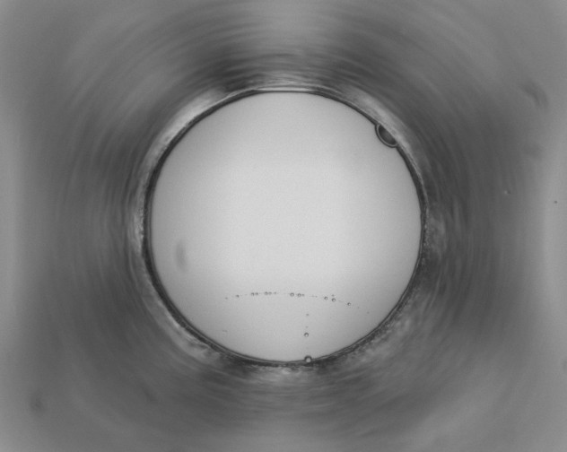 X0000112721195200909101440