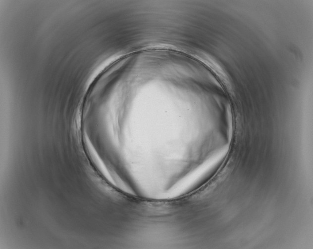 X0000112721198200909101440