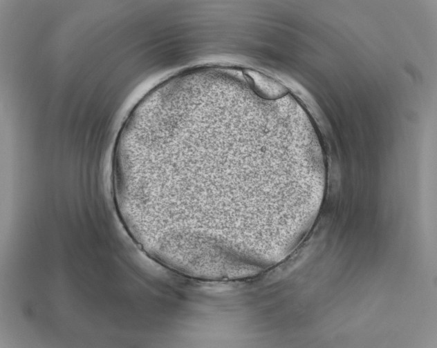 X0000112721199200909101440