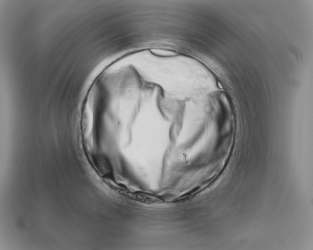 X0000112721200200909101440