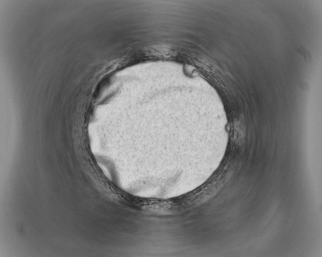 X0000112721201200909101439