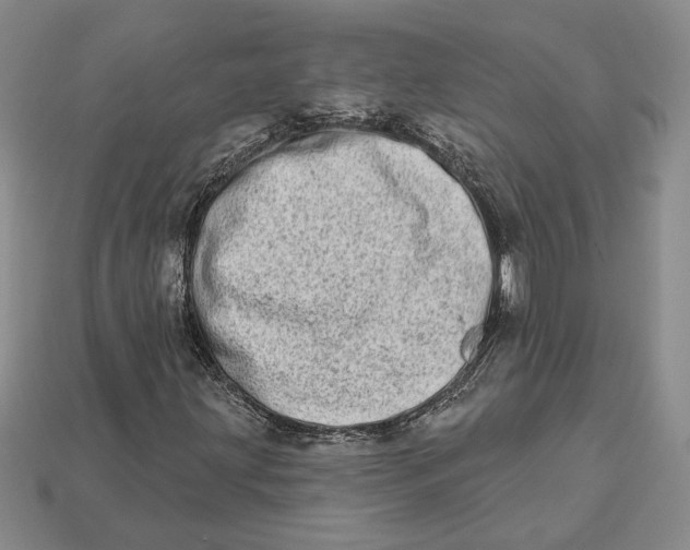 X0000112721203200909101439