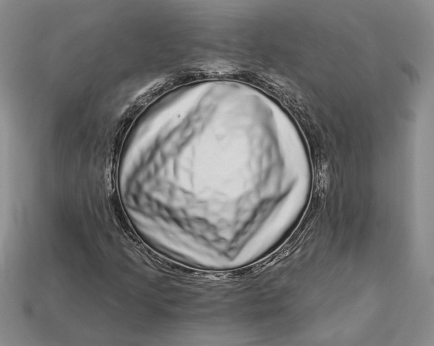 X0000112721205200909101439