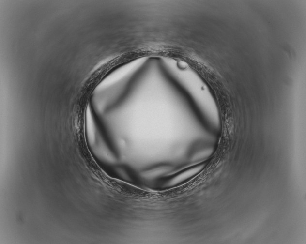 X0000112721206200909101439