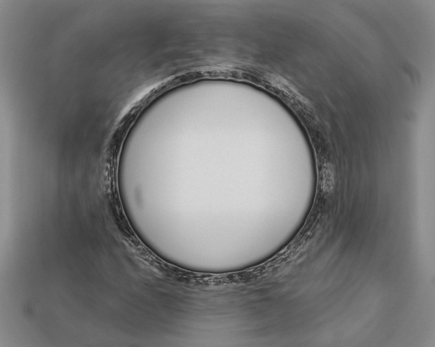 X0000112721208200909101439