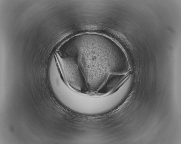 X0000112721209200909101439