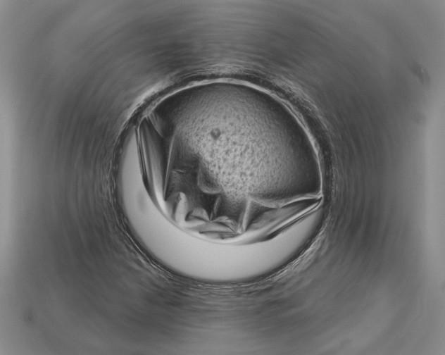 X0000112721210200909101439