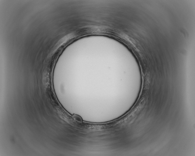 X0000112721211200909101439