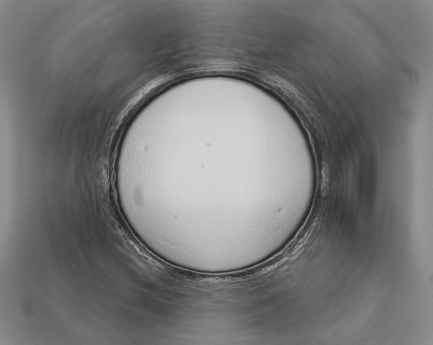 X0000112721212200909101439