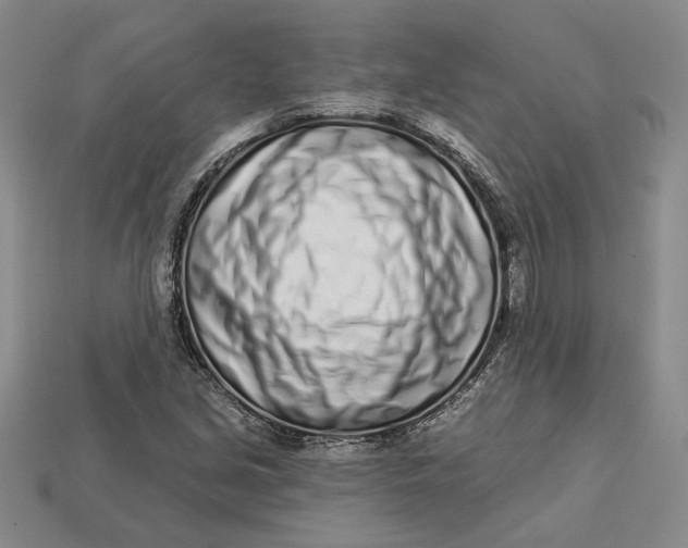 X0000112721213200909101439