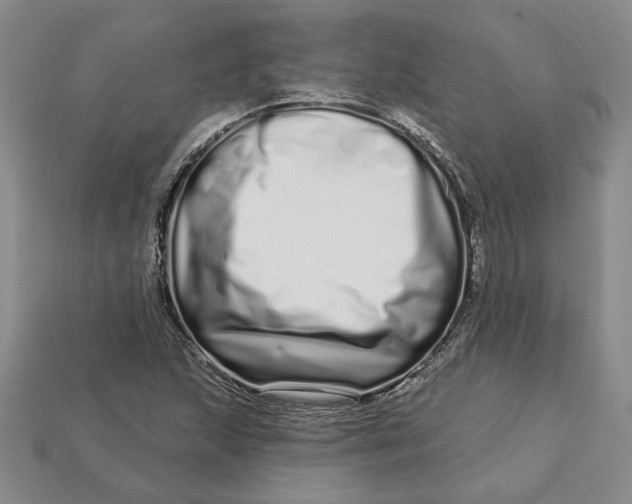 X0000112721215200909101439