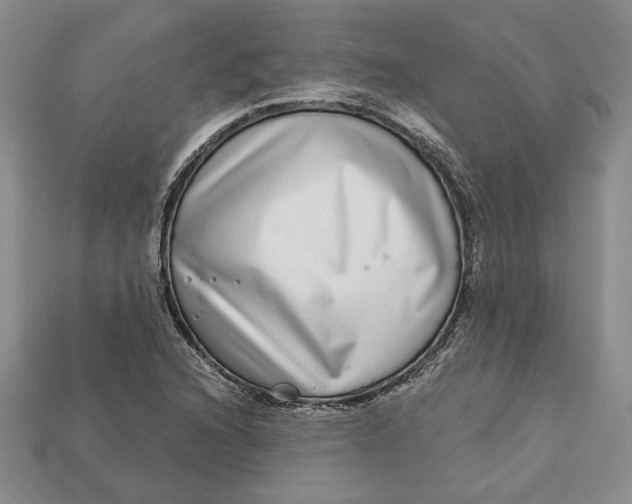 X0000112721216200909101439