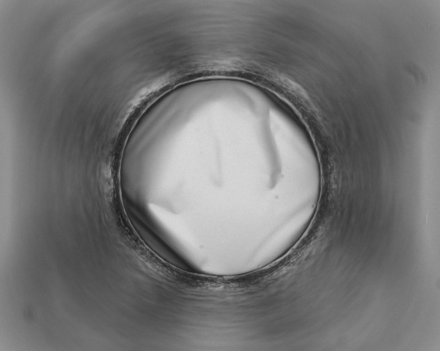 X0000112721218200909101439