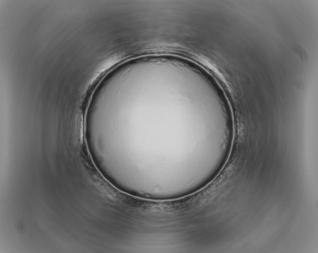 X0000112721219200909101439