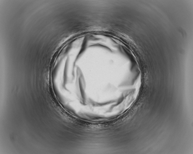 X0000112721220200909101439