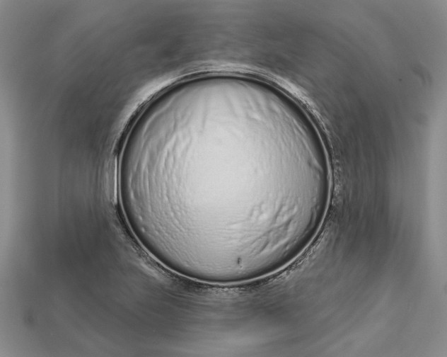 X0000112721223200909101440