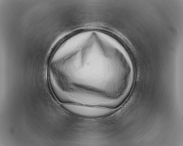 X0000112721224200909101440