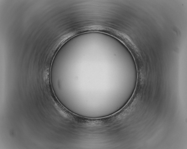 X0000112721225200909101440